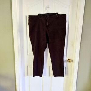 Women's jeans from Dress Barn size 24